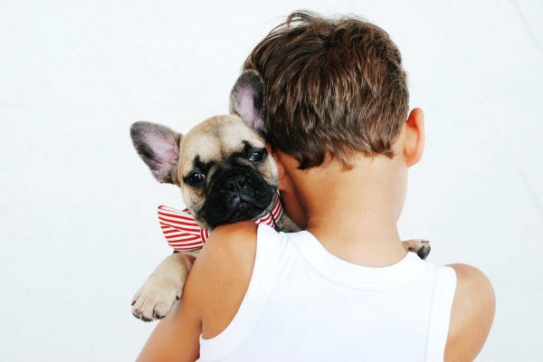Getting a Puppy